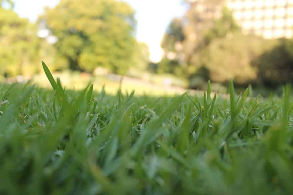 芝生を張替える目安とは 費用相場や安く抑える方法を紹介 人工芝施工業者比較ドットコム