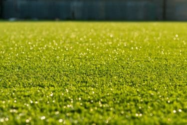 庭の人工芝の寿命は何年 耐久性 耐用年数や劣化の原因を解説 人工芝施工業者比較ドットコム